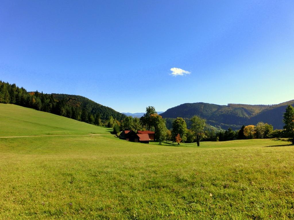 Gästehaus Forstner Loich Exteriör bild