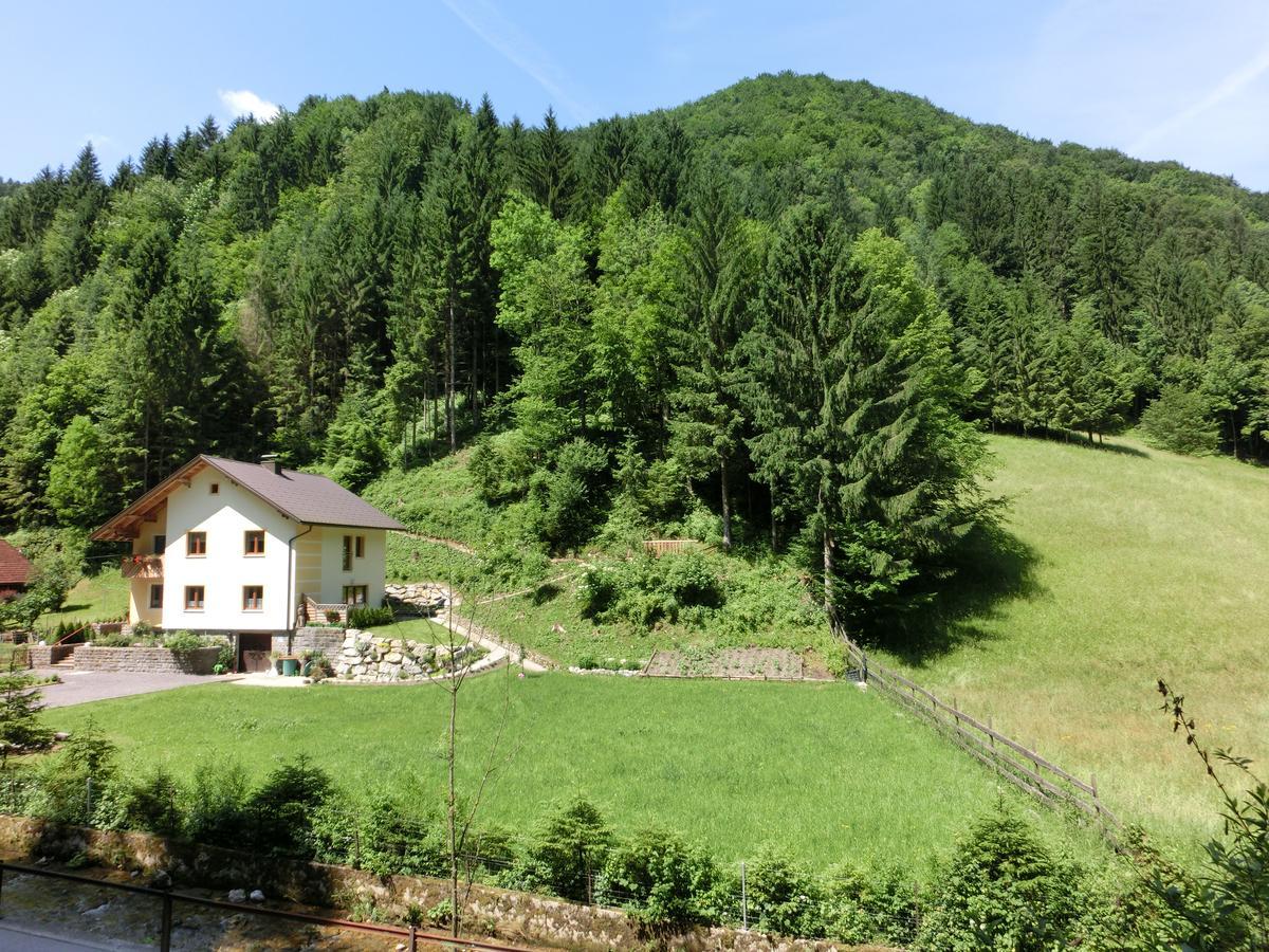 Gästehaus Forstner Loich Exteriör bild