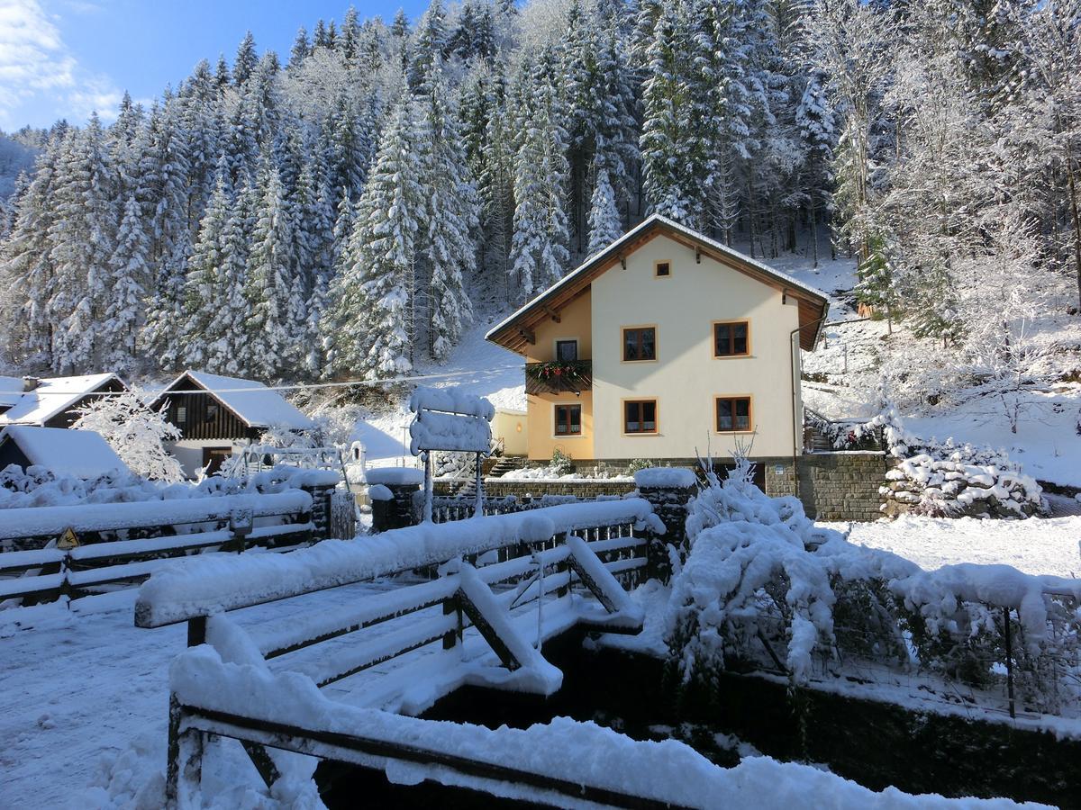 Gästehaus Forstner Loich Exteriör bild